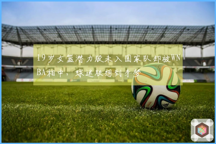 19岁女篮潜力股未入国家队却被WNBA相中，球迷联想到李梦