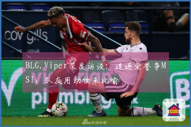 BLG.Viper深度访谈：追逐荣誉争MSI，队友用动物来比喻